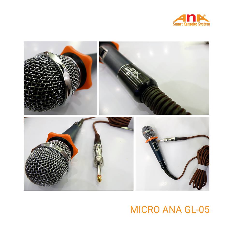 mic-co-day